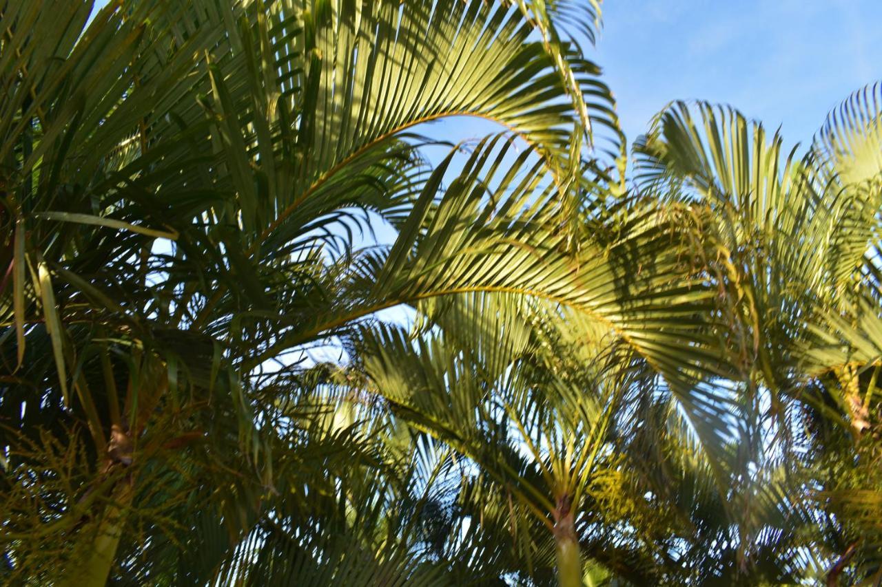 Hibiscus Center Hotell Búzios Exteriör bild